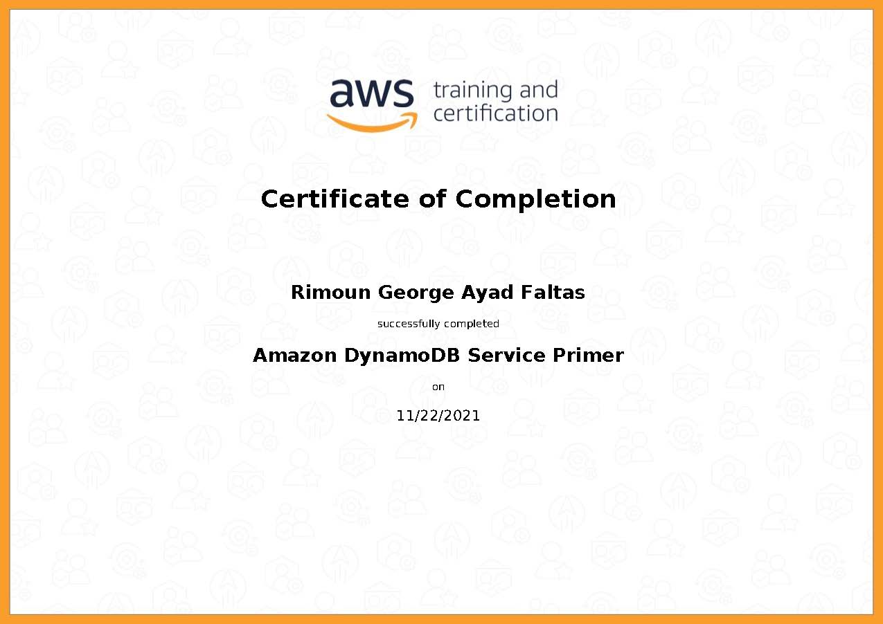 Amazon DynamoDB Service Primer